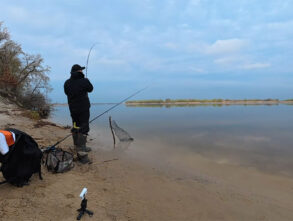 Чому плітка навесні не дає нормально ловити: помилка, яку роблять майже всі