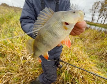 Де можна рибалити у Вінницькій області під час нересту 2026 - список дозволених місць