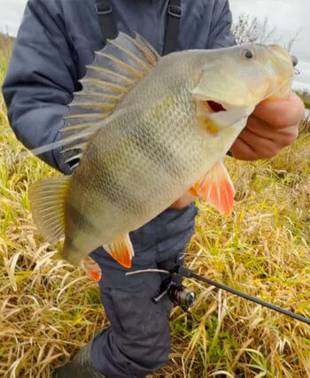 Де можна рибалити у Вінницькій області під час нересту 2026 - список дозволених місць