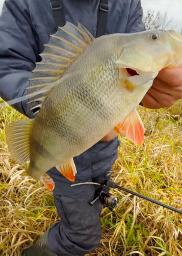 Де можна рибалити у Вінницькій області під час нересту 2026 - список дозволених місць