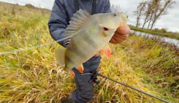 Де можна рибалити у Вінницькій області під час нересту 2026 - список дозволених місць