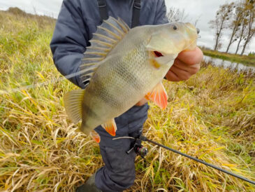 Дозволені місця для ловлі риби у Вінницькій області під час нересту 2026 – повний перелік водойм