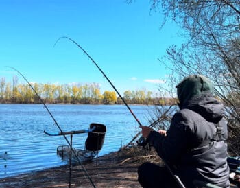 Де не можна ловити рибу у Дніпропетровській області під час нересту 2026 - перелік нерестовищ