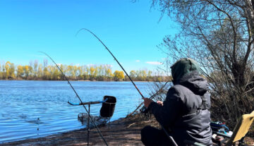 Де не можна ловити рибу у Дніпропетровській області під час нересту 2026 - перелік нерестовищ