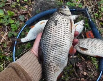 Апрельський сніг обвалив клювання: де зараз стоїть риба