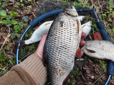 Апрельський сніг і різке похолодання: оперативний звіт з водойм України