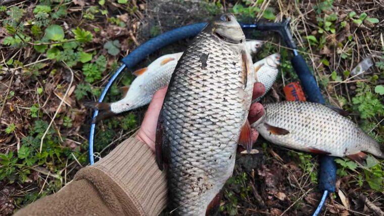 Апрельський сніг обвалив клювання: де зараз стоїть риба