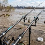 Підсумки вихідних на Дніпрі: плітка масово зайшла в затоки, поки на набережній Києва боролися зі сміттям