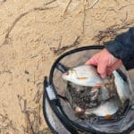 Какая катушка выдерживает темповую ловлю на течении: разбор без маркетинга