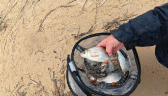 Где искать плотву на Днепре весной: ошибка в выборе точки, которая убивает рыбалку