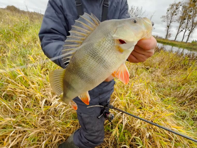 Где можно рыбачить в Винницкой области во время нереста 2026 - список разрешенных мест