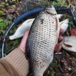 Нерестовый запрет 2026 в Украине: где можно ловить, сроки, правила и штрафы