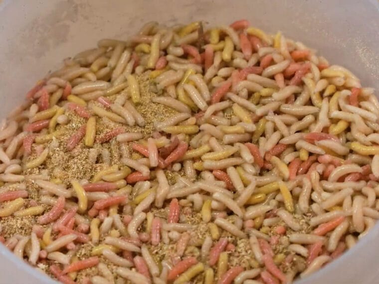 Опарыш и червь в контейнере с опилками, правильное хранение наживки дома, апрель 2026