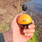 Весь карась в корчах: на разливах Ирпеня начался клев перед дождем