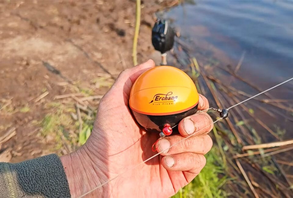 Эхолот в нерест 2026: можно или штраф? Разбор закона без мифов