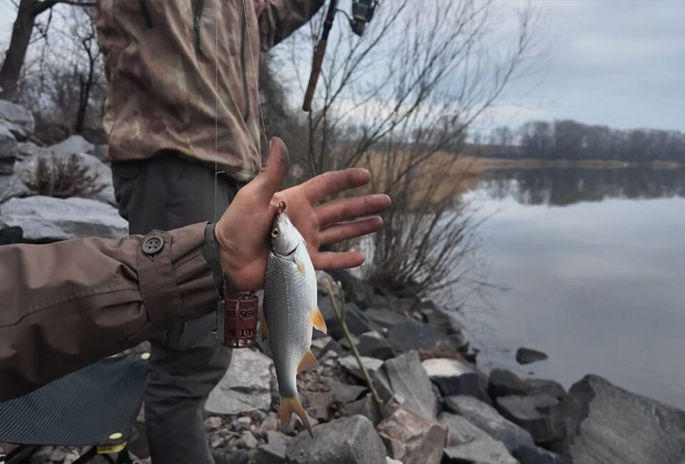 Итоги весенней рыбалки на плотву в Киеве, заливы Оболони против набережной 6 апреля