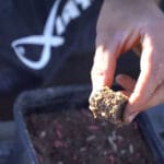 Резкое потепление «включило» окуня: что происходит на Южном Буге под Ладыжином (Видео)