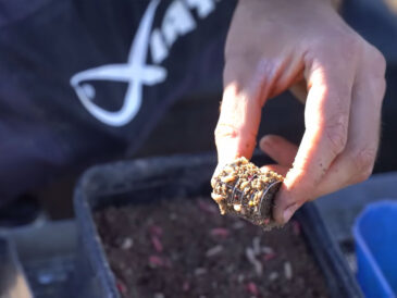 Опарыш быстро гибнет на рыбалке: два способа сохранить живучесть без холодильника