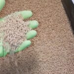 Секрет быстрого оживления клева. Бюджетная добавка в прикормку, которая может сработать уже в первый час