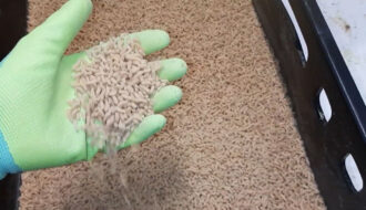 Как сохранить опарыша живым - советы экспертов