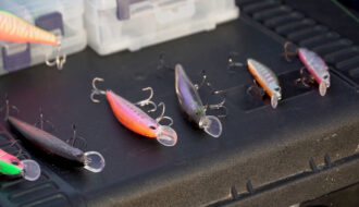 Какой цвет воблера лучше весной: правило мутной воды, о котором забывают рыбаки