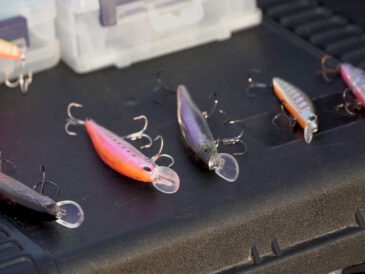 Какой цвет воблера лучше весной: правило мутной воды, о котором забывают рыбаки