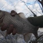 Пауза или жор? Почему щука игнорирует приманки в середине апреля (Видео)