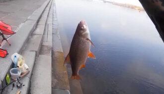 Плотва на Киевской набережной 5 апреля 2026 года, ловля на короткой дистанции при паводке.