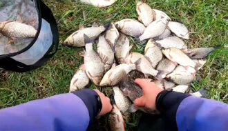 Когда ловить карася по лунному календарю в мае 2025 - лучшие даты