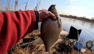 Когда ловить леща по лунному календарю в мае 2026 - лучшие даты для стабильного клева