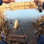 Силиконовая приманка больше не дубеет и не слипается: два простых способа восстановления без покупки новой