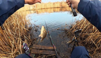 Ловля карася на Днепре 2026: на что клюет и где искать