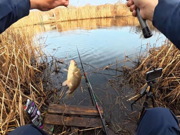 Карась прокинувся: де на Дніпрі вже успішно ловлять на поплавок