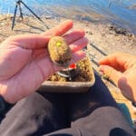 Этот фактор влияет на клев: почему 6-мм поп-ап обыграл живые насадки