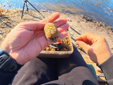 Ловля крупного карася на флэт-фидер: тактика поиска точки и выбор снастей