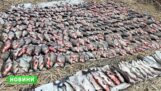 Мільйонні збитки та пів тонни риби: на Кременчуцькому водосховищі викрили велику мережу браконьєрів