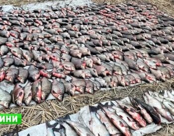 Мільйонні збитки та пів тонни риби: на Кременчуцькому водосховищі викрили велику мережу браконьєрів