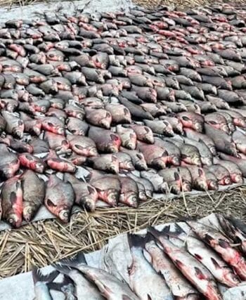 Мільйонні збитки та пів тонни риби: на Кременчуцькому водосховищі викрили велику мережу браконьєрів