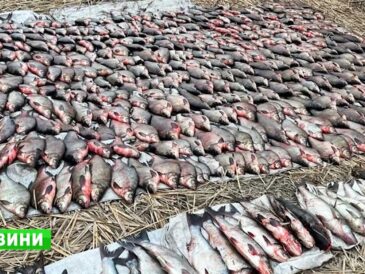 Мільйонні збитки та пів тонни риби: на Кременчуцькому водосховищі викрили велику мережу браконьєрів