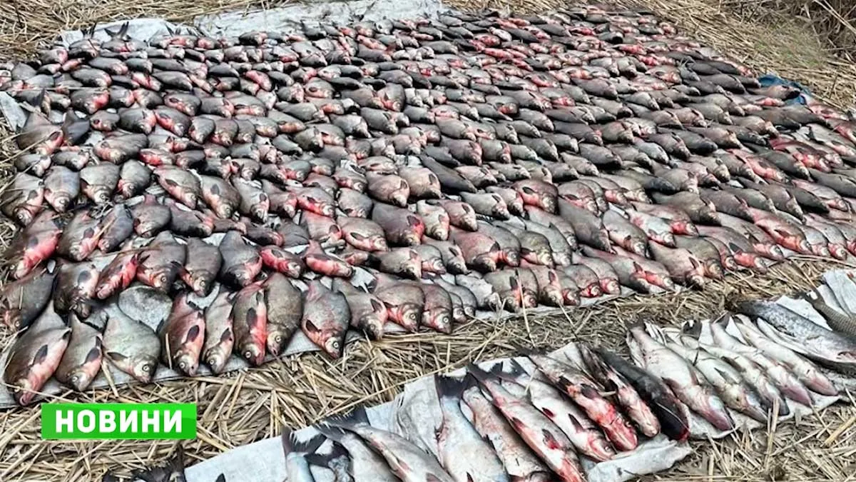 Мільйонні збитки та пів тонни риби: на Кременчуцькому водосховищі викрили велику мережу браконьєрів