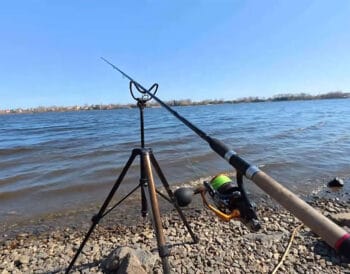 Нерестова заборона 2026 в Україні: правила та суми штрафів