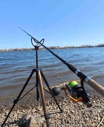 Нерестова заборона 2026 в Україні: правила та суми штрафів