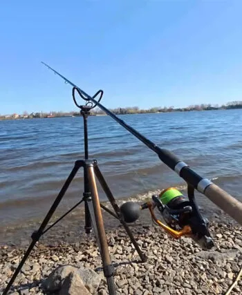 Нерестова заборона 2026 в Україні: правила та суми штрафів