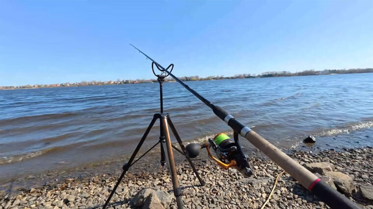 Нерестова заборона 2026 в Україні: правила та суми штрафів