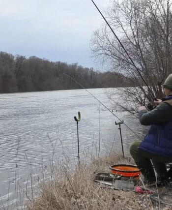 Нерестова заборона 2026: правила риболовлі на Десні та Дніпрі