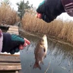 Плотва стоит под ногами, а ее ищут на русле: почему у 80% рыбаков на набережной Киева сегодня пусто