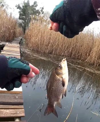 Нерестовый запрет 2026: разрешенные снасти, количество крючков и сроки