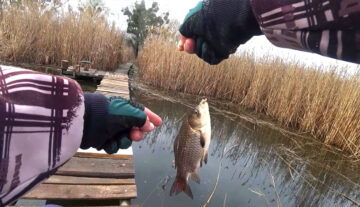 Нерестовый запрет 2026: разрешенные снасти, количество крючков и сроки