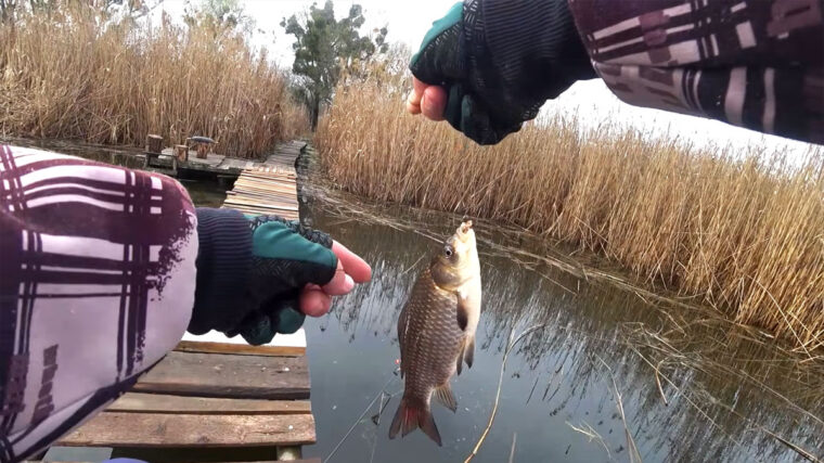 Нерестовый запрет 2026: разрешенные снасти, количество крючков и сроки