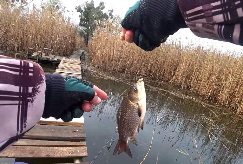 Нерестовый запрет 2026: разрешенные снасти, количество крючков и сроки